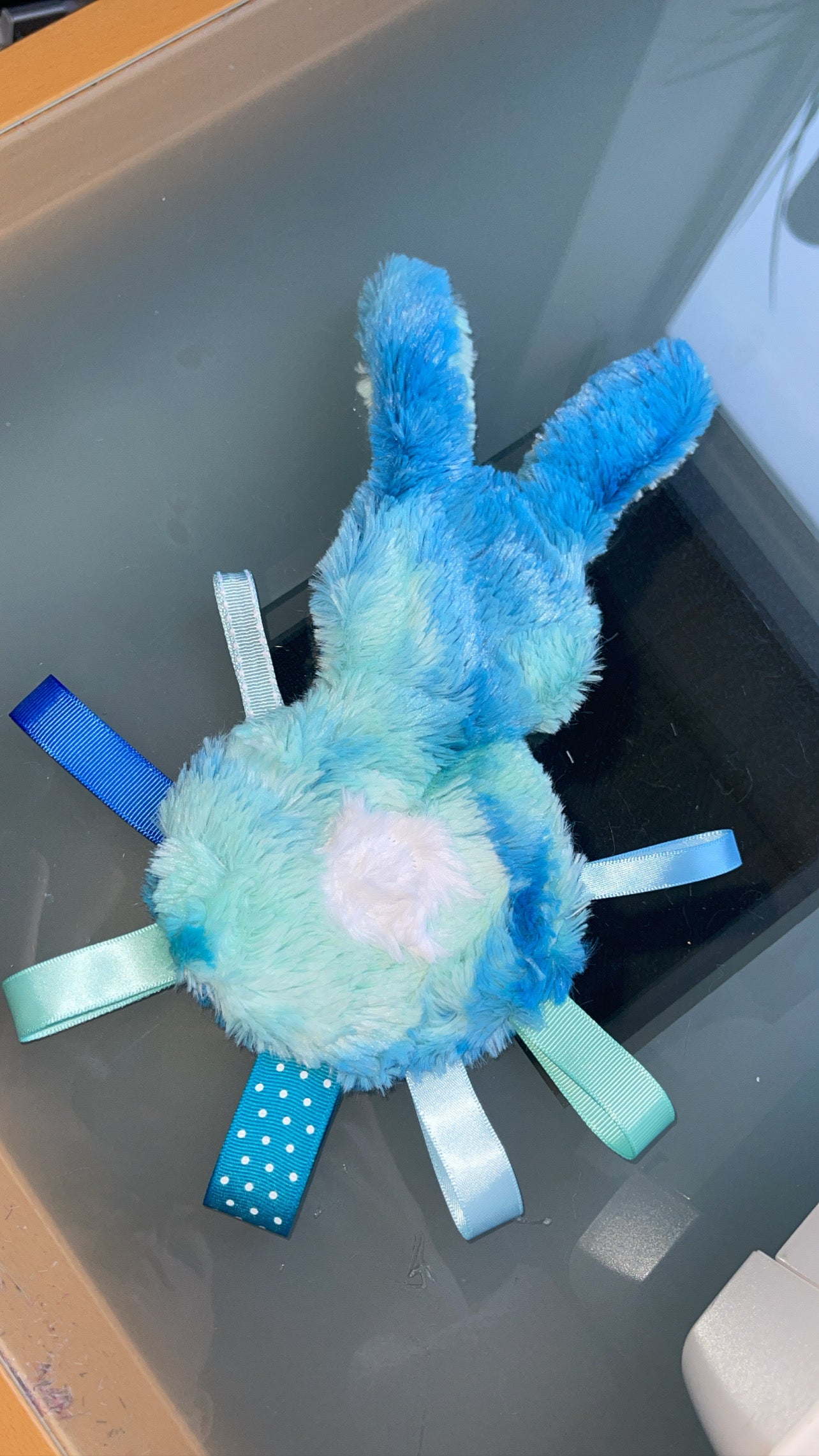Crinkle Bunny Lovey